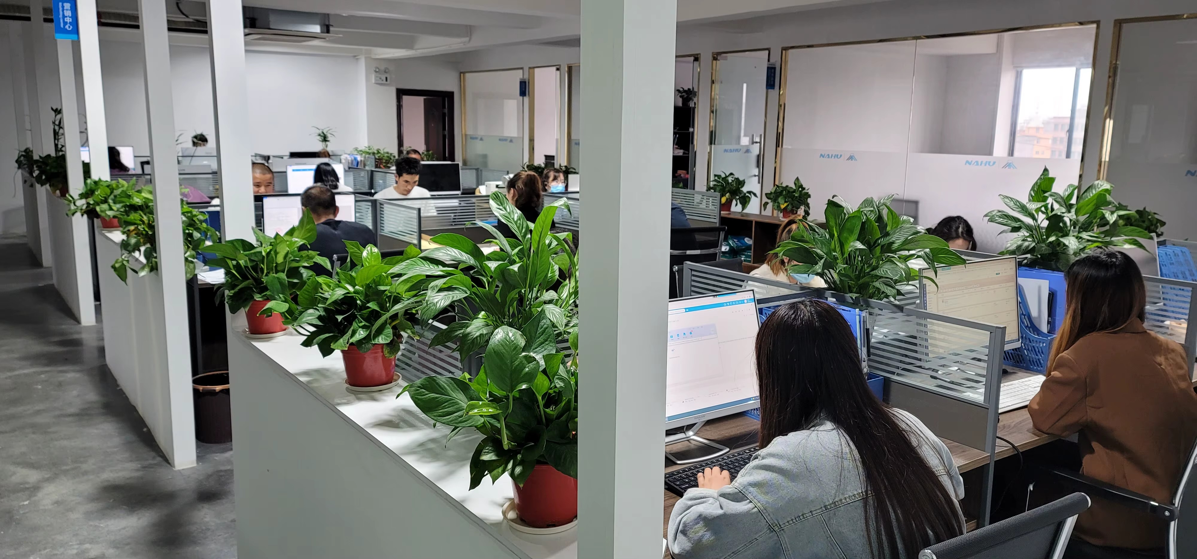 NAHU Hangzhou office — marketing and technical team