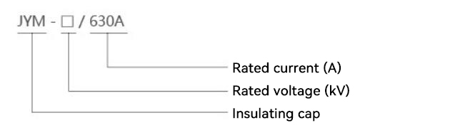 Model and Meaning